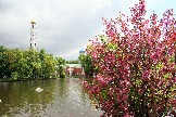 Угрешский монастырь  (15)